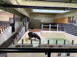 恩賜上野動物園に投稿された画像（2026/4/11）