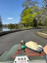 東武動物公園に投稿された画像（2026/4/11）