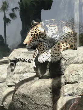 天王寺動物園に投稿された画像（2026/4/11）