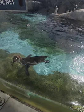 天王寺動物園に投稿された画像（2026/4/11）
