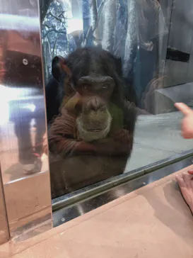 天王寺動物園に投稿された画像（2026/4/11）