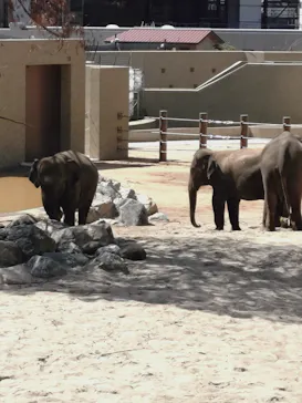 天王寺動物園に投稿された画像（2026/4/11）