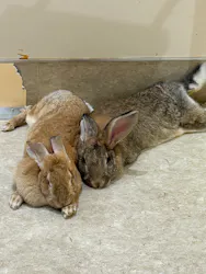 アニタッチららぽーと名古屋みなとアクルスに投稿された画像（2026/4/11）