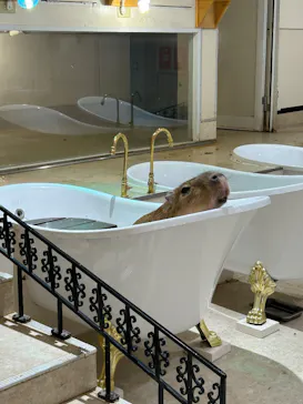 アニタッチららぽーと名古屋みなとアクルスに投稿された画像（2026/4/11）