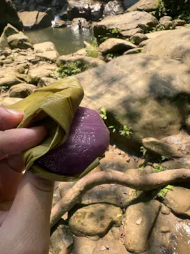 西表島カヌーツアー 風車に投稿された画像（2026/4/11）