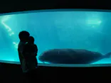 大分マリーンパレス水族館 「うみたまご」に投稿された画像（2026/4/11）