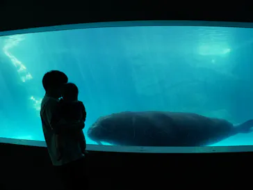 大分マリーンパレス水族館 「うみたまご」に投稿された画像（2026/4/11）