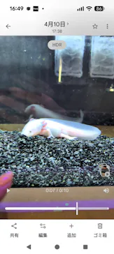 光で彩る金魚のアクアリウム ジ・アウトレット広島に投稿された画像（2026/4/11）