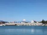 もちむねみなとのビール祭りに投稿された画像（2026/4/11）
