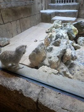 沖縄こどもの国に投稿された画像（2026/4/11）