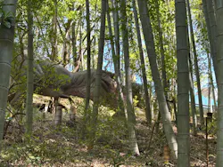 みろくの里に投稿された画像（2026/4/11）