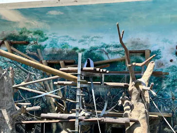 天王寺動物園に投稿された画像（2026/4/11）