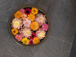 神馬の湯に投稿された画像（2026/4/11）