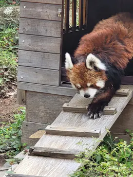 千葉市動物公園に投稿された画像（2026/4/11）