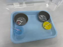 新江ノ島水族館に投稿された画像（2026/4/11）