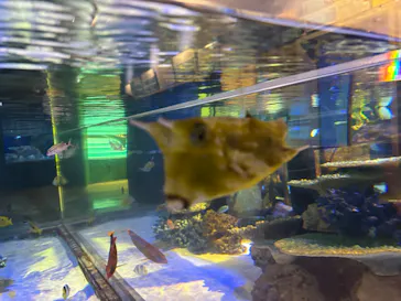 竹島水族館に投稿された画像（2026/4/11）