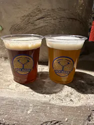 もちむねみなとのビール祭りに投稿された画像（2026/4/11）