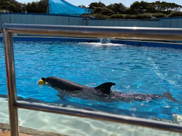 南知多ビーチランド＆南知多おもちゃ王国に投稿された画像（2026/4/11）