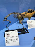 大絶滅展ー生命史のビッグファイブ（名古屋会場）に投稿された画像（2026/4/11）