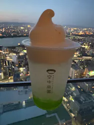 梅田スカイビル・空中庭園展望台に投稿された画像（2026/4/11）