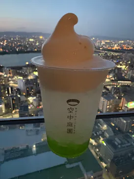 梅田スカイビル・空中庭園展望台に投稿された画像（2026/4/11）