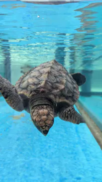 名古屋港水族館に投稿された画像（2026/4/11）