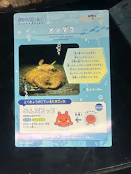 新江ノ島水族館に投稿された画像（2026/4/11）