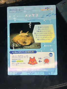 新江ノ島水族館に投稿された画像（2026/4/11）