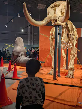 特別展「超危険生物展　科学で挑む生き物の本気」に投稿された画像（2026/4/11）