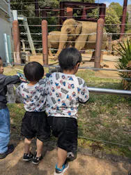 恩賜上野動物園に投稿された画像（2026/4/11）