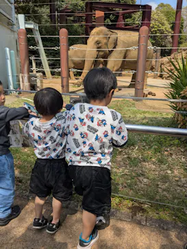 恩賜上野動物園に投稿された画像（2026/4/11）