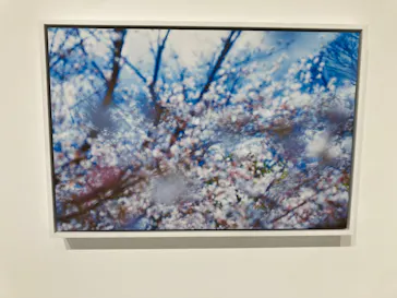 mirror, mirror, mirror mika ninagawaに投稿された画像（2026/4/11）