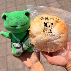 野外民族博物館 リトルワールドに投稿された画像（2026/4/11）