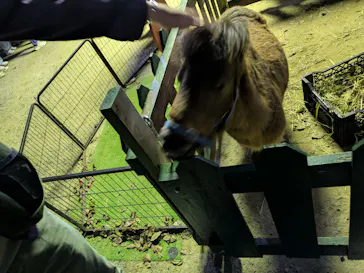 しろとり動物園に投稿された画像（2026/4/11）