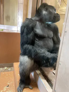 名古屋市東山動植物園に投稿された画像（2026/4/11）