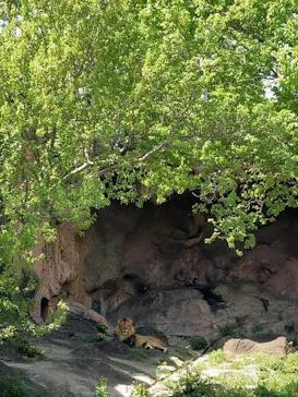 名古屋市東山動植物園に投稿された画像（2026/4/11）