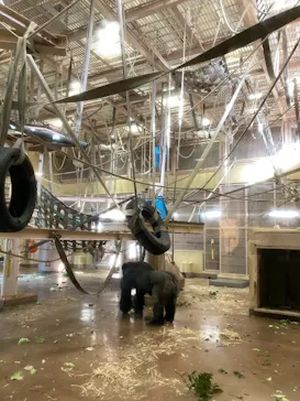 名古屋市東山動植物園に投稿された画像（2026/4/11）