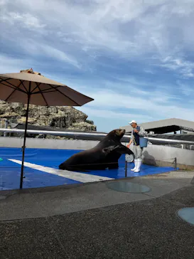 大分マリーンパレス水族館 「うみたまご」に投稿された画像（2026/4/11）