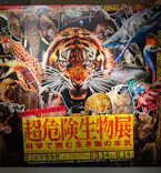 特別展「超危険生物展　科学で挑む生き物の本気」に投稿された画像（2026/4/12）
