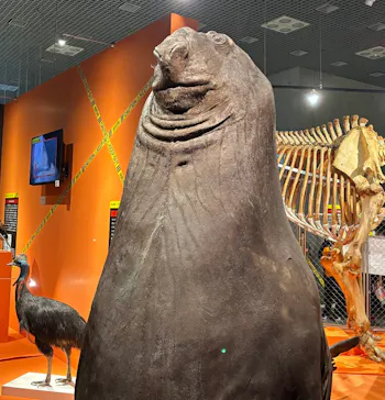 特別展「超危険生物展　科学で挑む生き物の本気」に投稿された画像（2026/4/11）