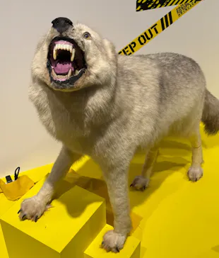 特別展「超危険生物展　科学で挑む生き物の本気」に投稿された画像（2026/4/11）