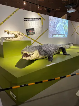特別展「超危険生物展　科学で挑む生き物の本気」に投稿された画像（2026/4/11）