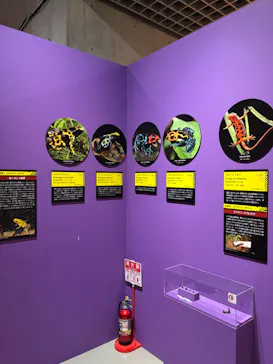 特別展「超危険生物展　科学で挑む生き物の本気」に投稿された画像（2026/4/11）