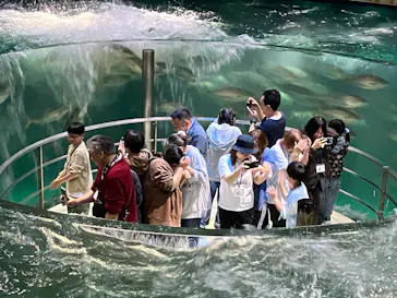 城崎マリンワールドに投稿された画像（2026/4/11）