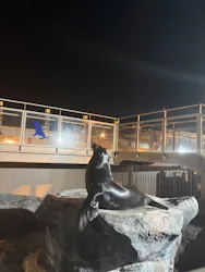 アクアワールド茨城県大洗水族館に投稿された画像（2026/4/11）