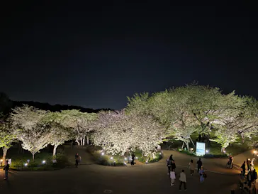 名古屋市東山動植物園に投稿された画像（2026/4/12）
