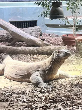 名古屋市東山動植物園に投稿された画像（2026/4/12）