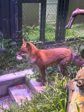 沖縄こどもの国に投稿された画像（2026/4/12）