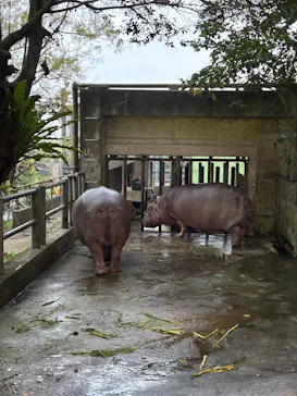 沖縄こどもの国に投稿された画像（2026/4/12）