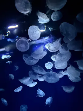 サンシャイン水族館に投稿された画像（2026/4/12）